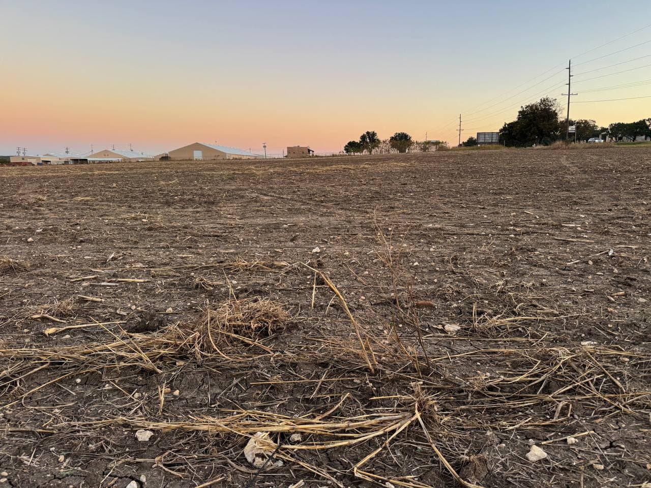 Ground-level view across the cleared Clifton site
